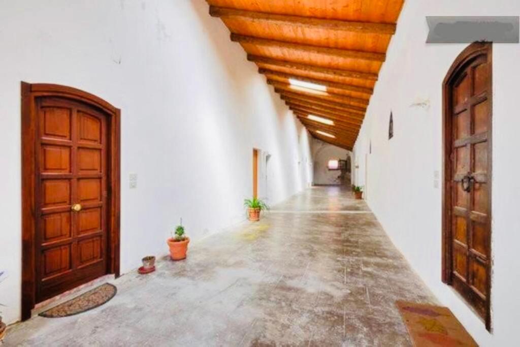 Wonderful Apartment In Old ألغيرو المظهر الخارجي الصورة